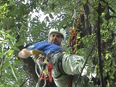 Immagine profilo di treeclimbing