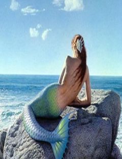 Immagine profilo di underthesea1981