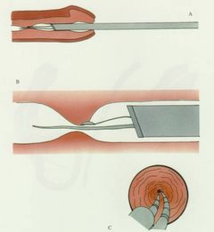 Immagine profilo di uroandrologia