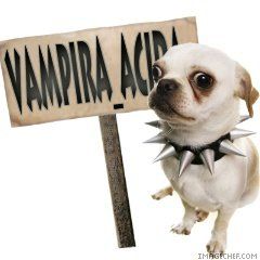 Immagine profilo di vampira_acida