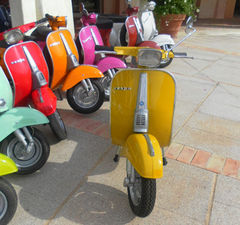 Immagine profilo di vespa611