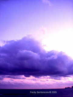 Immagine profilo di violet.73
