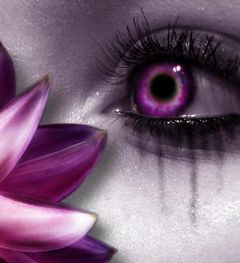Immagine profilo di violetdiamond