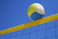 Immagine profilo di volleylove1