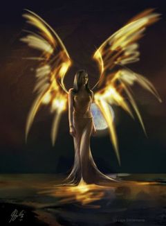 Immagine profilo di white-angel13