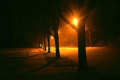 Immagine profilo di winter.night