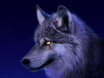 Immagine profilo di wolfheart761
