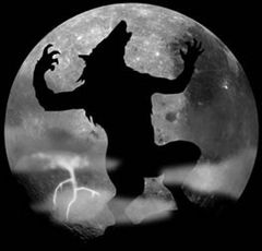 Immagine profilo di wolfman.shadow